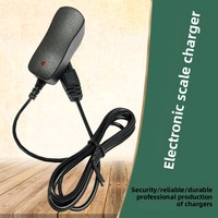 Balance électronique à deux ports compatible avec Tianmai Junheng Xinruixiang-3.5V 500mA Single Slot Charger avec IEC Female End Type
