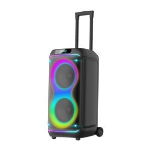 V Dual 8 pouces Bass Portable Battery Party Trolley Haut-parleur pour les performances en club - Product Image 4