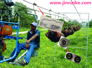 Garrucha para banano Flores y <span class=keywords><strong>palma</strong></span> africana Imagen - Product Image 2