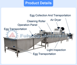Máquina Automática de Limpieza y Clasificación de Huevos de Gallina, Tipo Cepillo, para Uso en Granjas, a <span class=keywords><strong>Precio</strong></span> Accesible - Product Image 3