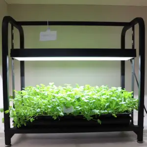 Fabricante Nuevo Diseño Superventas Escritorio Top LED Grow Light Stand Microgreen Bandejas Titular Minigarden Interior