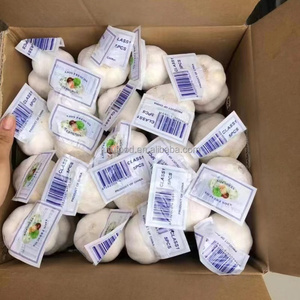Ajo Blanco Pelado de Alta Calidad, Vegetal de la Familia Liliácea, el Mejor Alimento Fresco, Características de Blanco Puro, Origen Shandong, Tamaño 5cm - Product Image 1