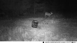 <span class=keywords><strong>Suntek</strong></span> <span class=keywords><strong>Chasse</strong></span> en plein air numérique étanche infrarouge 24MP 1080p Photo Trap <span class=keywords><strong>Chasse</strong></span> Trail Caméra HC-802A - Product Image 6