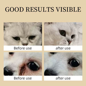 Bálsamo para Manchas Lacrimales en Mascotas - Fórmula a Base de Plantas para <span class=keywords><strong>Perros</strong></span> y Gatos, <span class=keywords><strong>Limpia</strong></span>, Suaviza e Ilumina los Ojos, Marca OEM, Hecho en Guangdong - Product Image 3