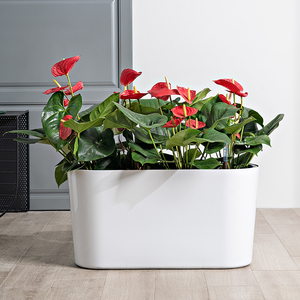 Vaso da fiori ispessito in plastica per irrigazione automatica semplice classico rettangolare balcone scatola di grandi dimensioni per il giardinaggio <span class=keywords><strong>a</strong></span> <span class=keywords><strong>casa</strong></span> - Product Image 5
