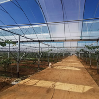 Grande serre moderne à travées multiples Serre de jardin à cadre en aluminium Serres d'extérieur en polycarbonate
