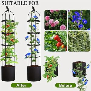 花园方尖碑户外攀爬植物格子架，高塔为西红柿，玫瑰，鲜花，葡萄，豌豆，黄瓜格子架 - Product Image 2