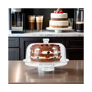 ZX Mini MOQ 6-in-1 acrilico Multi-funzionale frutta secca vassoio contenitori di plastica per torte per feste di compleanno e negozi di torte