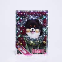 Cartes de jeu TCG personnalisées OEM, designs personnalisés, étoiles holographiques brillantes, cartes à collectionner d'anime, jeux de cartes, boosters aléatoires