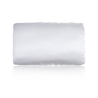 Taie d'oreiller en satin avec bande élastique, housse de coussin de couleur unie pour la décoration de la literie d'hôtel et de la maison