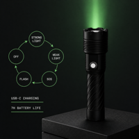 Lampe torche laser verte portable pour dissuader les oiseaux, pour le contrôle des oiseaux en extérieur, fermes, champs agricoles, aéroports, entrepôts