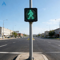 Feu de signalisation LED extérieur personnalisé étanche en PC, lumière verte pour piétons de 300 mm, visibilité de 300 m, protection IP53, qualité ingénieur
