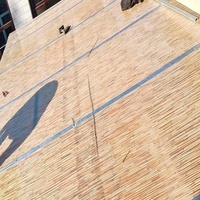 Panel de Policarbonato de 8mm y 10mm, Paneles de Bambú Tipo Lámina, Panel Hueco Tipo Bambú con Lámina de Policarbonato