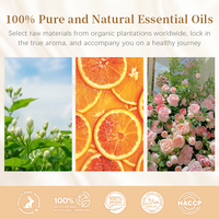 Ensemble d'huiles essentielles 10 ml, huiles d'aromathérapie naturelles pures pour diffuseur, soins de la peau, massage