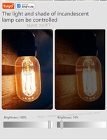 Module d'interrupteur intelligent Wi-Fi Tuya 10A, compatible avec le contrôle bidirectionnel, interrupteur de lumière à intensité variable 1 canal, fonctionne avec Alexa Google Home