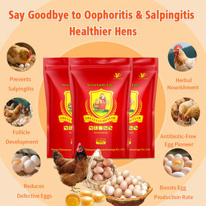 Suplemento Herbal + Probiótico para Gallinas Ponedoras - Aumenta la Producción de Huevos, Prolonga el Pico de Producción y Mejora la Calidad de la Cáscara del Huevo - Product Image 2