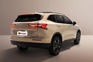 Venta caliente coche <span class=keywords><strong>de</strong></span> marca China 2024 Haval H6 2,0 T turboalimentado <span class=keywords><strong>de</strong></span> alta velocidad 200 Km/H chino barato Suv <span class=keywords><strong>coches</strong></span> <span class=keywords><strong>de</strong></span> gasolina - Product Image 2