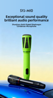 Microphone sans fil dynamique portable personnalisable pour karaoké, récepteur universel à chargement Type C, monocanal