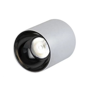 Wholesale Waterproof IP65 Surface Mounted Spotlight Down Light <b>Spot</b> Lamp 10W 15W 20W Ceiling <b>LED</b> COB Spotlight - Product Image 1