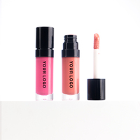 Groothandel Vegan Lip Oil Hydraterende Fruitgeur Transparante Vegan Roze Lipgloss Lip Plumper Gloss