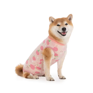 2026 高品质可机洗狗狗恢复服可爱葡萄柚印花透气宠物手术服 - Product Image 6