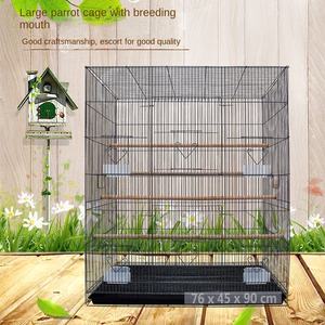 Grande gabbia per uccelli in metallo con vassoio in plastica per allevamento canarino-Design solido ecologico - Product Image 5