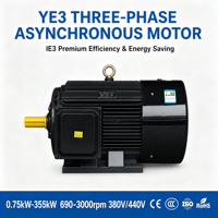 Moteur asynchrone triphasé Sunwei YE3 11KW 15HP 380V en fonte IP54/IP55/IP56 IC411 Refroidissement 50/60Hz CE