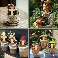 15 étiquettes de nom de plantes en bois, marqueurs de jardin en bois pour légumes, semis, plantes en pot, piquets de jardin, étiquettes de signalisation
