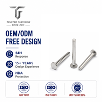 Rivets plats solides TianFang OEM pour panneaux de distributeurs automatiques, en laiton, finition nickelée, production de précision et devis rapide