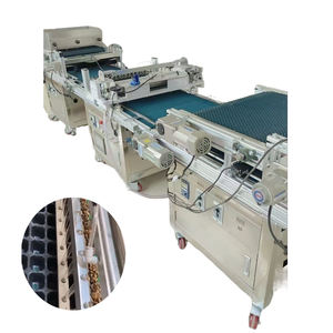 <span class=keywords><strong>Vendita</strong></span> calda ad alta produttività macchina per piantare <span class=keywords><strong>semi</strong></span> di fiori fabbrica diretta completamente automatica 380V vassoio fioriera per la coltivazione di <span class=keywords><strong>piante</strong></span> - Product Image 1