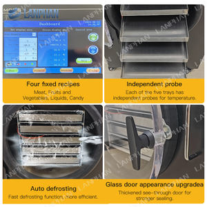 Lyophilisateur de fruits et légumes <span class=keywords><strong>à</strong></span> économie d'énergie de 6 kg, machine de lyophilisation par sublimation pour la maison avec <span class=keywords><strong>pompe</strong></span> <span class=keywords><strong>à</strong></span> vide, vente chaude - Product Image 4
