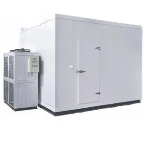 Cold Storage Meat Freezer Low-温度Cold Storage Professional Cold Freezing Rooms