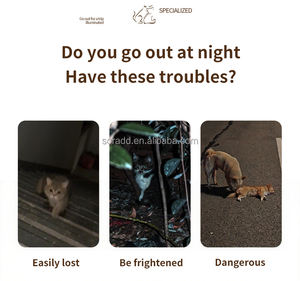 Luz <span class=keywords><strong>LED</strong></span> de advertencia de seguridad para mascotas, pajarita, <span class=keywords><strong>Collar</strong></span> de estilo óseo, lámpara colgante, etiqueta de identificación de nombre para perro, gato, caminar, correr, cinta nocturna - Product Image 4