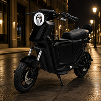 Moto électrique tout-terrain commerciale E-Moto 1200W Moteur sans balais Roues de 14 pouces Vitesse maximale 55 km/h Autonomie de 140 km 200 kg