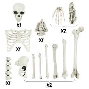 Cuộc Sống Kích Thước Halloween Skeleton Prop Đầy Đủ Cơ Thể Tháo Bung Cấu Trúc Xương Cho Trong Nhà Ngoài Trời Đáng Sợ Đảng Trang Trí - Product Image 3