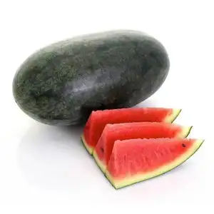 High Quality Delicious Fresh Watermelon Seedless Watermelon Black Beauty Watermelon from Vietnam