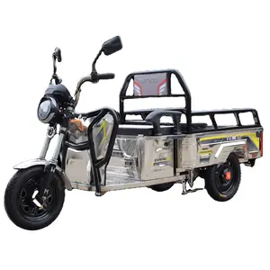 Chang li car New Stainless Steel 1000W Lead Acid Battery Powered Open Cargo Three Wheel Electric Tricycle For Adults