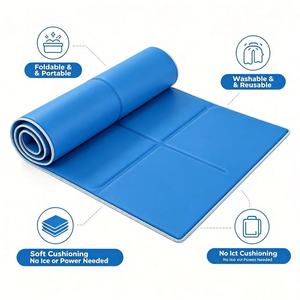 Summer Cooling Gel <b>Pad</b> Non-Toxic Self-Chill Waterproof Foldable Pet Cooling Mat <b>Scratch</b> Resistant Washable for Car - Product Image 5