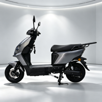 Scooter électrique CKD SKD 10 pouces 2 places, 600/800W, vitesse 50 km/h, moto électrique de course pour adultes