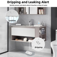 Tuya WIFI capteur d'eau sans fil 90dB alarme détecteur de fuite d'eau alerte surveillance des fuites alarme goutte à goutte pour cuisine salle de bain