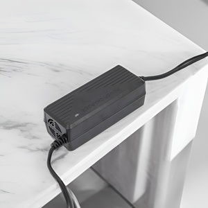 Cargador Rápido Ignífugo de 54.6V 2A para Montacargas AGV de E-Mobility: Soluciones de Componentes Alternativas Rentables - Product Image 1