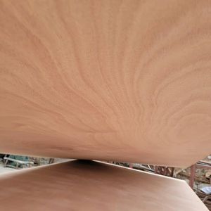 Hoja <span class=keywords><strong>de</strong></span> <span class=keywords><strong>madera</strong></span> contrachapada 4x8 pies <span class=keywords><strong>Madera</strong></span> <span class=keywords><strong>de</strong></span> eucalipto 5mm 7mm 9mm 12mm 13mm 15mm 25mm <span class=keywords><strong>Madera</strong></span> contrachapada gruesa <span class=keywords><strong>de</strong></span> grado para muebles - Product Image 4