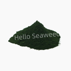 Poudre de Spiruline en Gros - Superaliment Végétalien Brut avec 60% de Protéines pour Compléments Alimentaires - Product Image 5