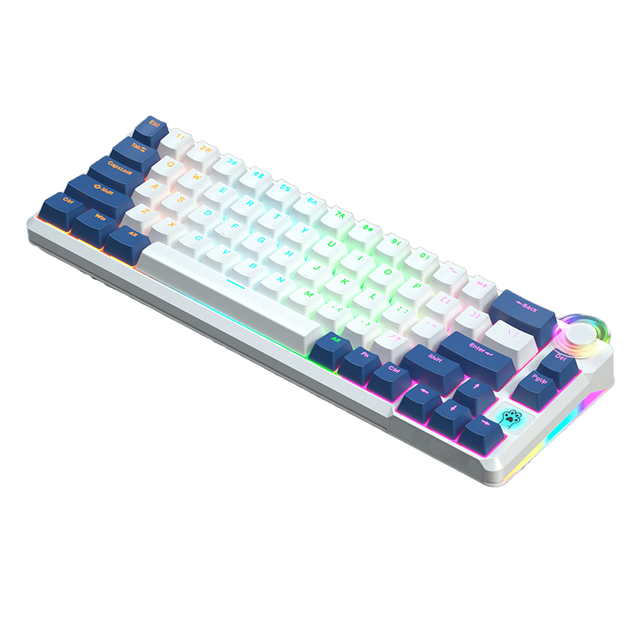66 Key Gaming Gamer Desktop Mechanical Keyboard Wired Red Axis RGB Keypad Backlight USB Type C Optical Gaming Keyboard