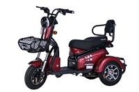 YF-MD Amoto-triciclo para adultos, tres ruedas, neumático grande, atv, citycoco, 3 ruedas, scooter Eléctrico de 500w
