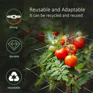 Filet de soutien pour plantes grimpantes en maille plastique PP pour jardin, serre, concombres, tomates, haricots verts - Product Image 3