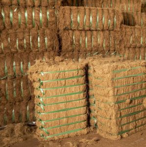 Fibre de coco pour rembourrage, brun doré, nettoyée, longueur 5-25 cm, qualité supérieure, 24 % d'humidité, balles de 100 kg pour usage industriel - Product Image 2