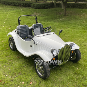Chariot électrique vintage élégant pour villas, manoirs et services touristiques - Product Image 3