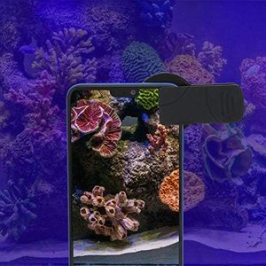 ชุดเลนส์กรองสีส้มเหลืองสำหรับกล้องมือถือแบบหนีบ รุ่น Universal Clip External Mobile Camera Cover Coral Lens ขนาด 37 มม. 52 มม. สำหรับตู้ปลา - Product Image 3