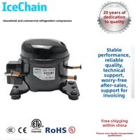 Compresseur de réfrigération haute efficacité utilisant le réfrigérant R290, fourni par l'usine pour les déshumidificateurs, les réfrigérateurs et les entrepôts frigorifiques